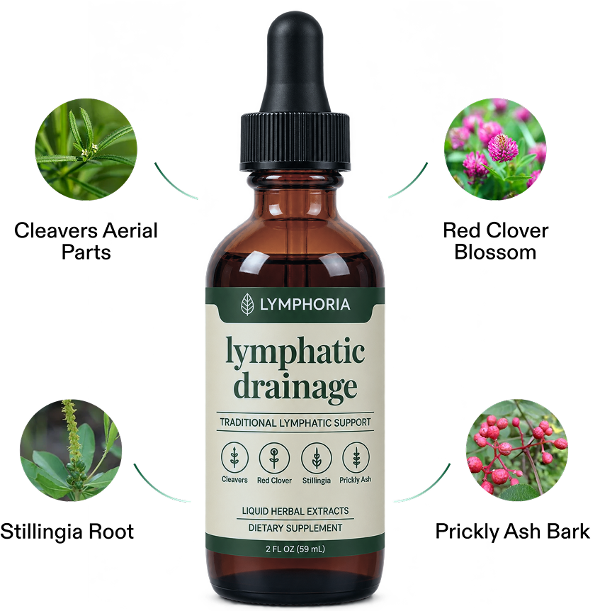 Made with Clean, Plant-Based Ingredients